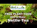 Super Easy Free Plant Food- Nettle Tea!
