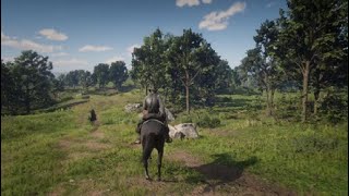 Red Dead Redemption 2 Paseo 8