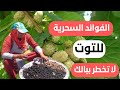 فوائد التوت السحرية ستجعلك تندم لو مر عليك موسم الربيع دون أن تأكله فوائد التوت السحرية ستجعلك تندم لو مر عليك موسم الربيع دون أن تأكله