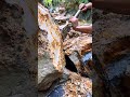 fruit of hard work #gold #goldmining