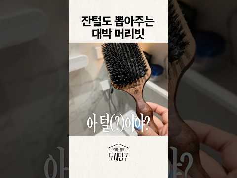 누가 보면 오해하는 머리빗