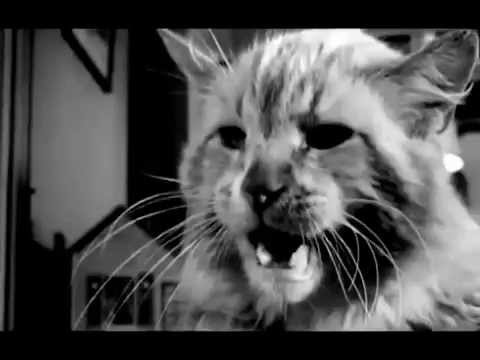 The Stranglers - It's a Small World