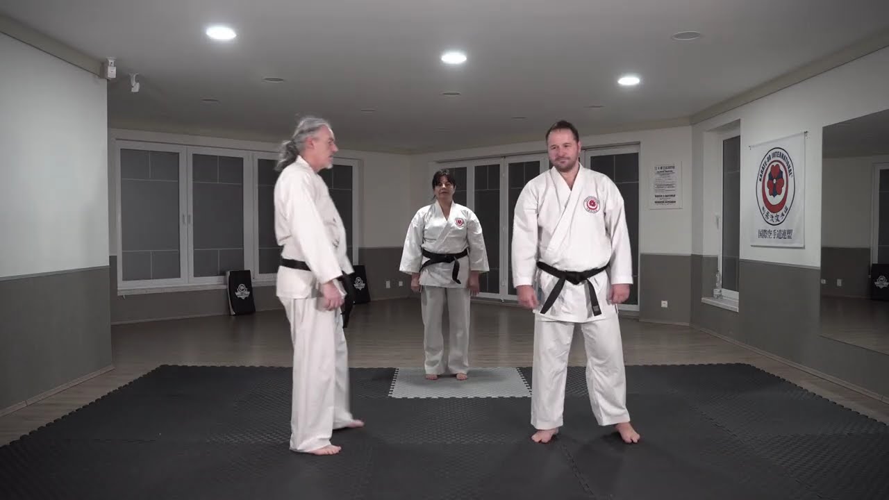 Saifa Kata Bunkai