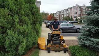 Fall Clean Ups 2020
