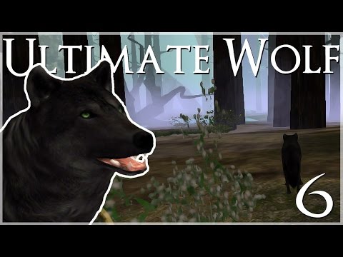 The Rival Wolf Pack of Broken Stone • Ultimate Wolf Simulator - Episode #6