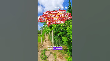 HƯNG LONG - Đất vườn hơn 1000m2 Quy Đức, Bình Chánh NHỈNH 1tỷ #nhadatbinhchanh #nhavuon #datnhavuon