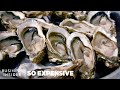 Why Oysters Are So Expensive | So Expensive