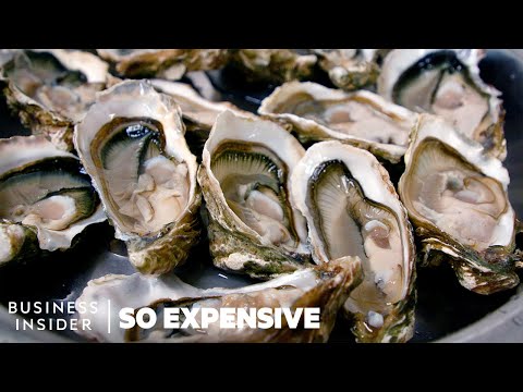 Video: Zijn oester in het seizoen?