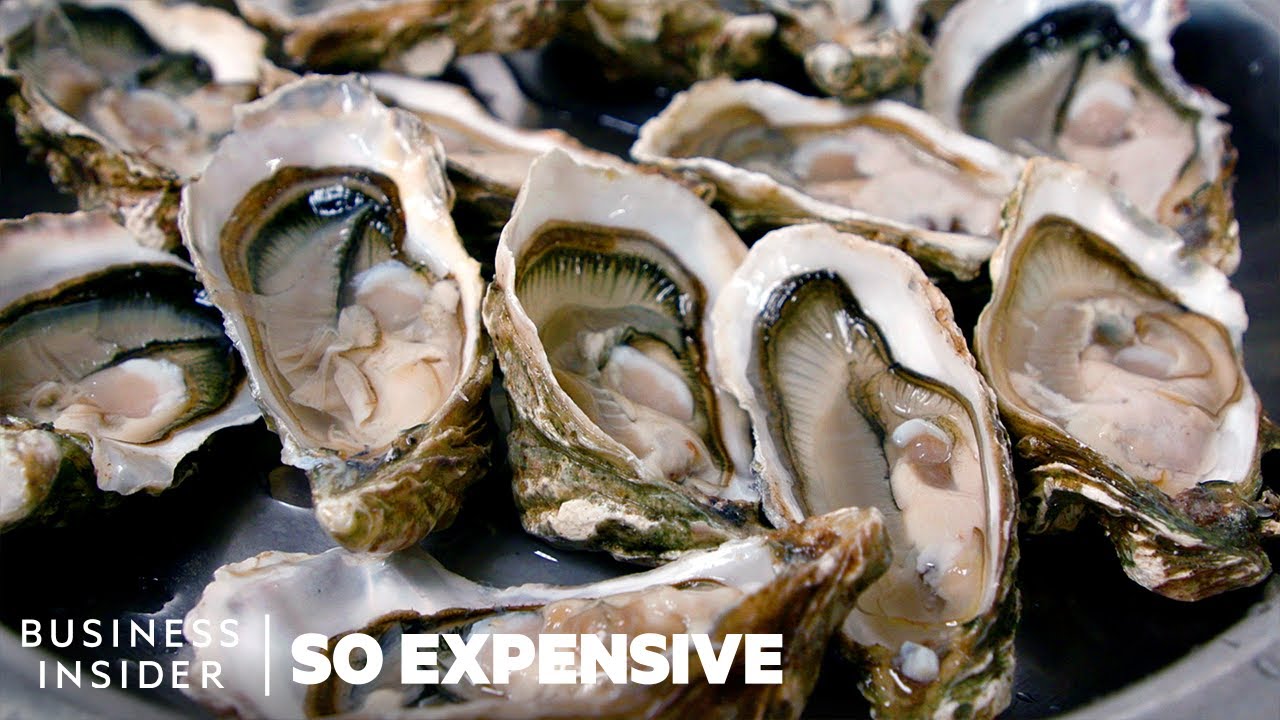 ⁣Why Oysters Are So Expensive | So Expensive