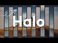 Halo  business growth agency