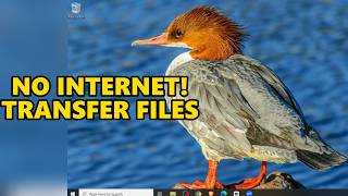 Transfer Files Between Linux & Windows Without Internet Using Ethernet