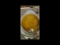 المشخص في البيطرة تجفيف عينة مادة كلوريد الحديديك Ferric chloride التي صنعناها mp3