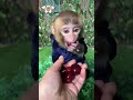 Animals transformation #viral #animalsofyoutube #shorts