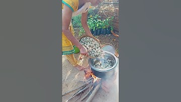 Cashewnut processing from scratch.