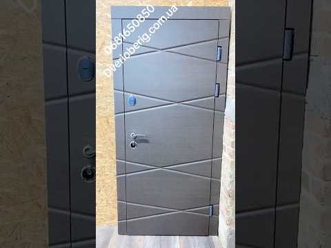 Входные металлические двери Графика, видео 1