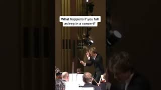 What Happens When You Fall Asleep In A Concert?