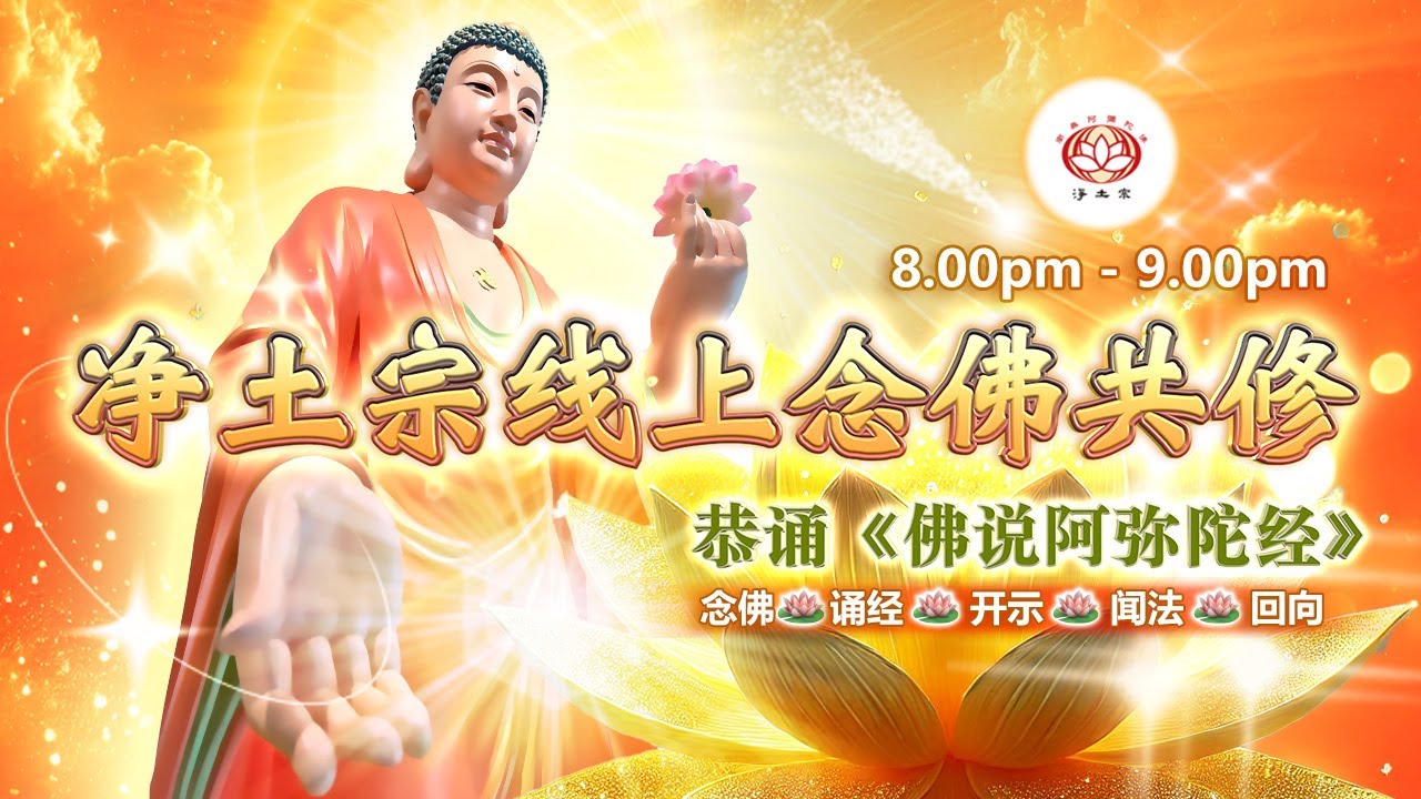 【同步】净土宗线上念佛共修暨法师开示【第2117天】+ 开示视频《只要念佛都灵》03-01-2026 Online Session（晚上8pm-9pm (GMT+8))【打开CC字幕】