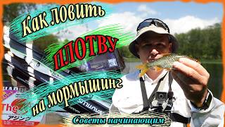Как ловить плотву на мормышинг. Советы начинающим