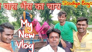 Village Life Daily Routine Vlog Sisodiya Boys