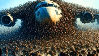 Ek Khatarnaak Zombie Virus Ne Poori Duniya Ko Tabah Kar Diya | Alone Movie Explained in Hindi Details