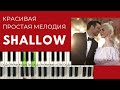 Красивая мелодия Леди ГАГА SHALLOW (ПРОСТАЯ версия)