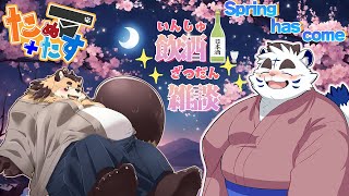【飲酒雑談】綺麗な桜が咲き始めたね🌸 たぬ×たす【神楽狸丸/Vtuber】たぬ雑談#41