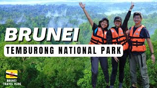 The GREEN JEWEL of BRUNEI! 🇧🇳 - BEST Nature Experience: Ulu Temburong National Park