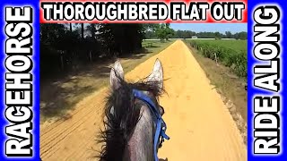 GoPro Jockey Cam Race Horse FAST FILLY!