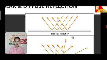 Reflection of Light in Plane Mirrors (Grade 10 Science) Discussion Video