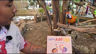 Let's Add Up | Kids Book Read Aloud + Addition &amp; Sight Words | Reading to a Macaw 🦜