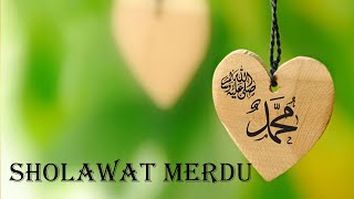 Laila Alaiyya Cover Az-Zahida