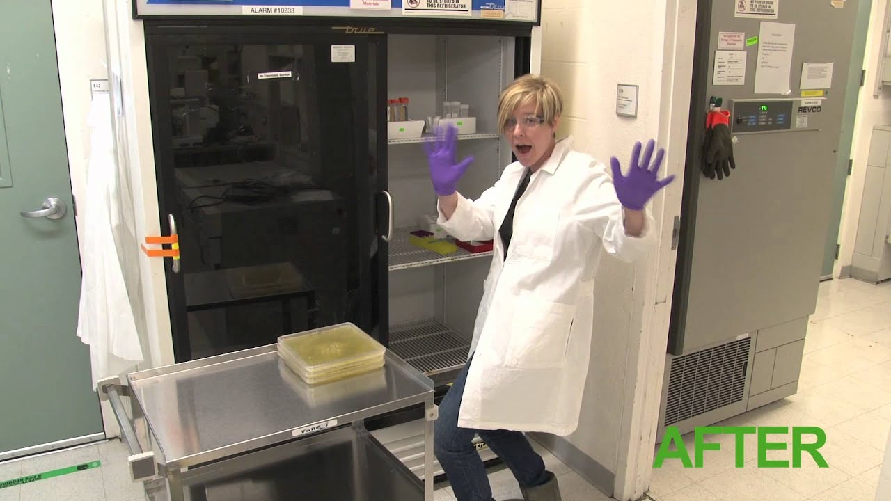 2011 JGI Ergo Cup video: It's so easy being green