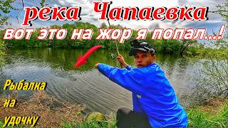 РЫБАЛКА НА УДОЧКУ НА РЕКЕ ЧАПАЕВКА/ЛОВЛЯ ПЛОТВЫ И УКЛЕЙКИ/РЫБАЛКА В САМАРСКОЙ ОБЛАСТИ/ВЕСНА 2026