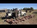 Hunting blesbuck in africa