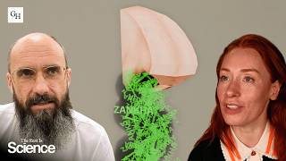 Information Can A Word Make A Smell Exist Update