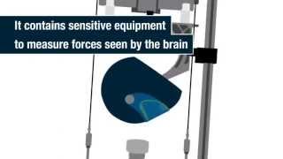 SHARP The Helmet Safety Test - Sheps Cycle Shack