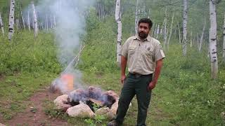 Abandoned Campfires on the National Forest