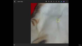 70  Editing and Cropping Pictures Creating GIF Animations with ChatGPT