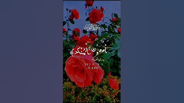سورة التوبة بسم الله الرحمن الرحيم الْمُنَافِقُونَ وَالْمُنَافِقَاتُ بَعْضُهُم مِّن بَعْضٍ