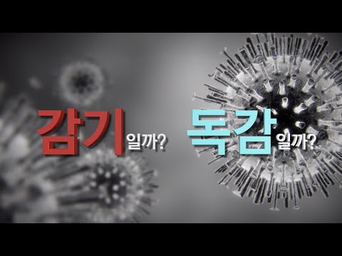 [건강정보] 일반 감기와 독감은 어떻게 다른가요?-고려대학교구로병원 김우주 교수