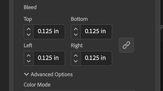 What is Bleed in Adobe Illustrator 2024