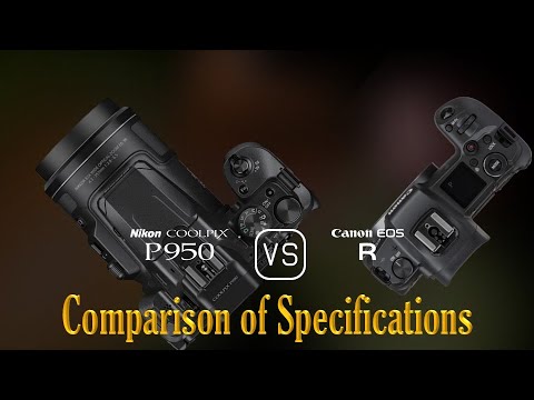 Nikon COOLPIX P950 vs. Canon EOS R: A Comparison of Specifications ...