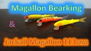 : Magallon Bearking  & Jackall Magallon 113