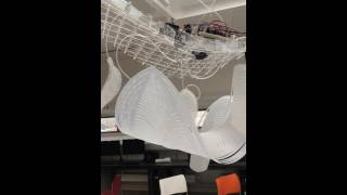Biomimetic Responsive System in Architecture