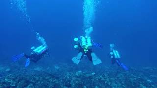 Technical Diving Bonaire 2019