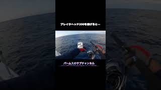 ブレイクヘッド200を投げると…？  #palmsfishing #オフショアキャスティング #ブレイクヘッド200