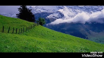 سوره يوسف بصوت خاشع😌