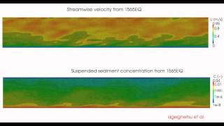 Flow and sediment transport in a channel flow