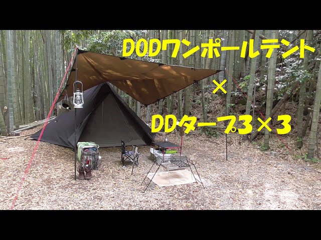 スケの一人遊び】ソロキャンプ DODワンポールテント×DDタープの