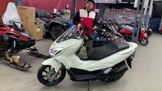 видео: Обзор Скутера Vento VMC PCX картинка: Обзор Скутера Vento VMC PCX